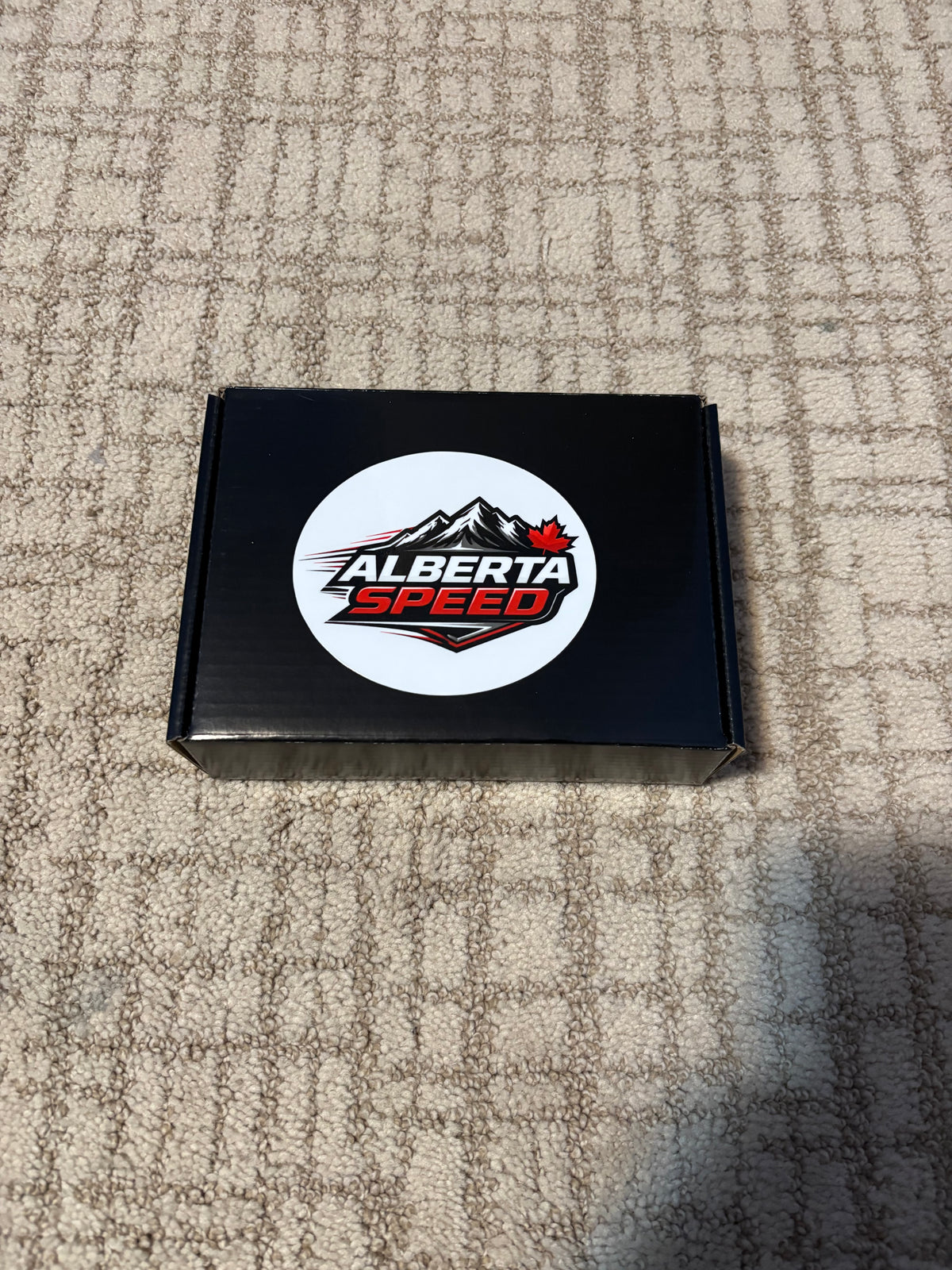 LS Header Studs Stainless Steel
